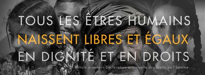 Journée Internationale Des Droits De L Homme