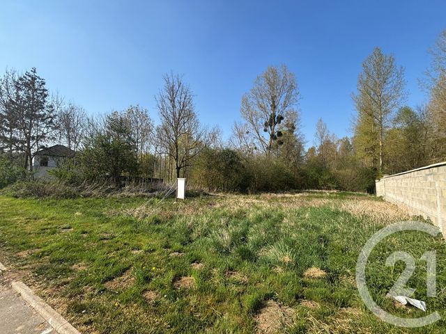 terrain - BAUGY - 60