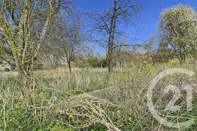 terrain à vendre - 1556.0 m2 - ESTREES ST DENIS - 60 - PICARDIE - Century 21 Infinity